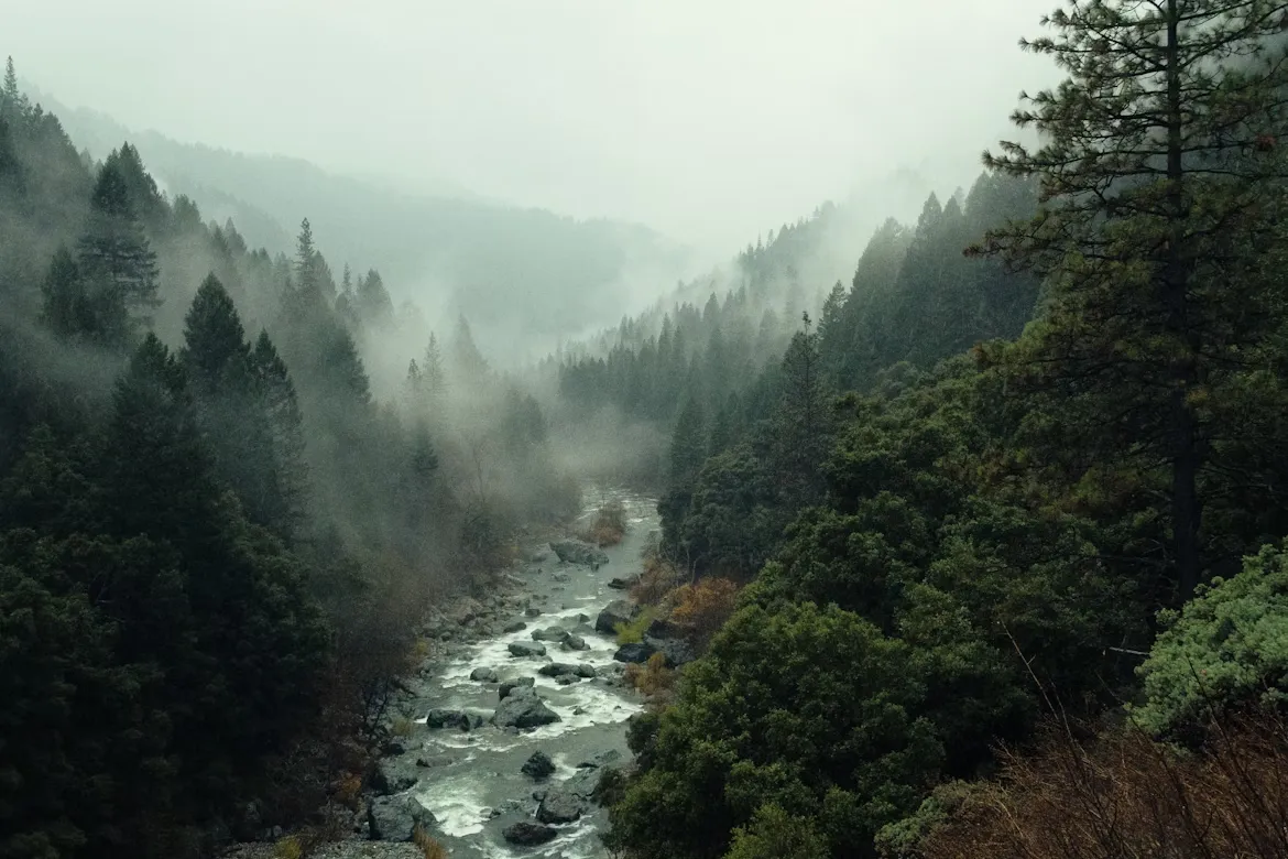 banner header